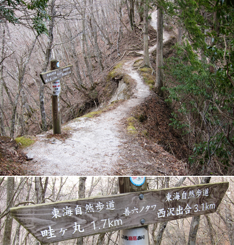 20200110hike (272)